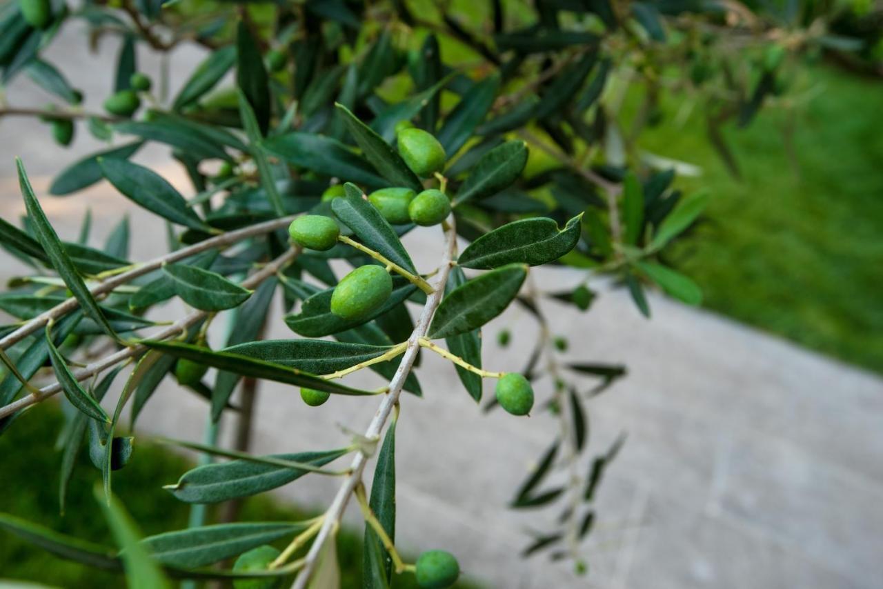 Appartamento Olive 301 Peraía Esterno foto